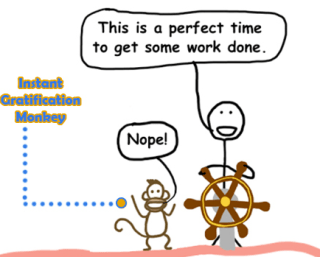 Instant Gratification Monkey